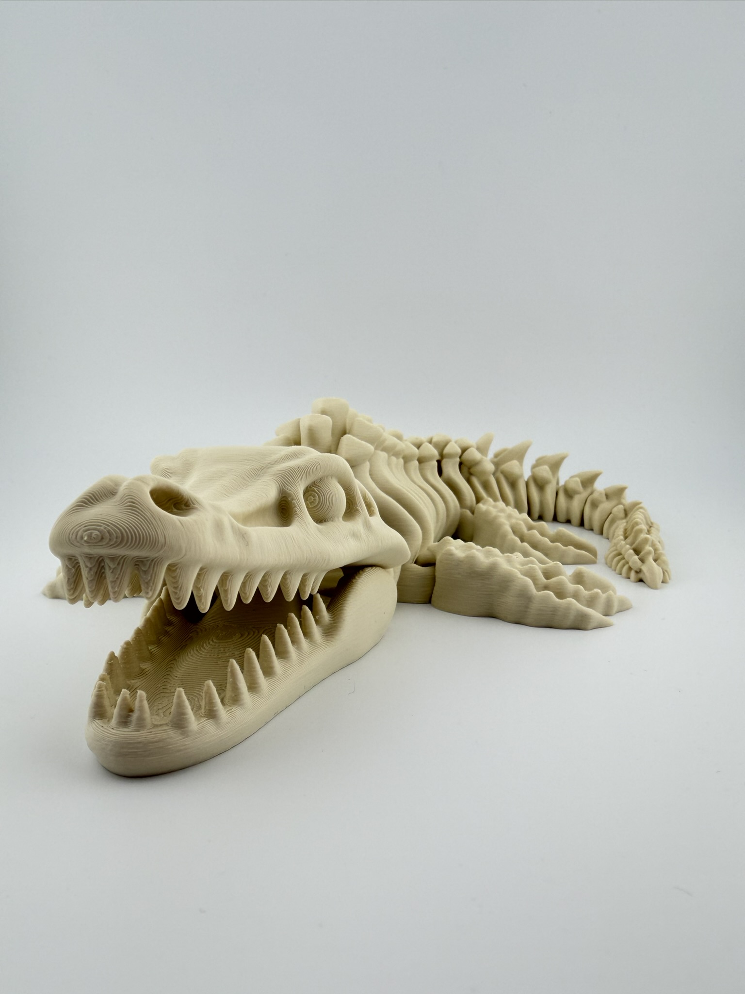 Ruchomy szkielet Mozazaura 3D - obrazek 4