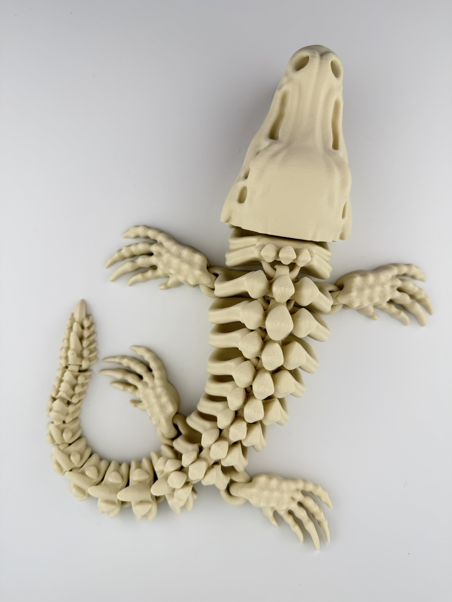 Ruchomy szkielet Mozazaura 3D - obrazek 6