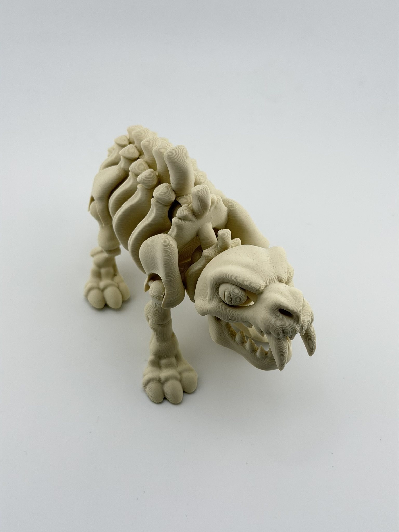 Ruchomy szkielet tygrysa szablozębnego 3D - obrazek 2