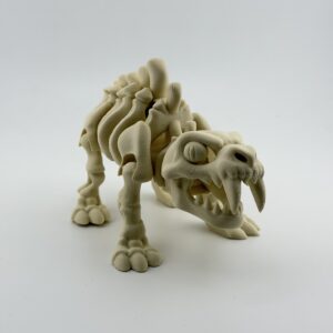 Ruchomy szkielet tygrysa szablozębnego 3D