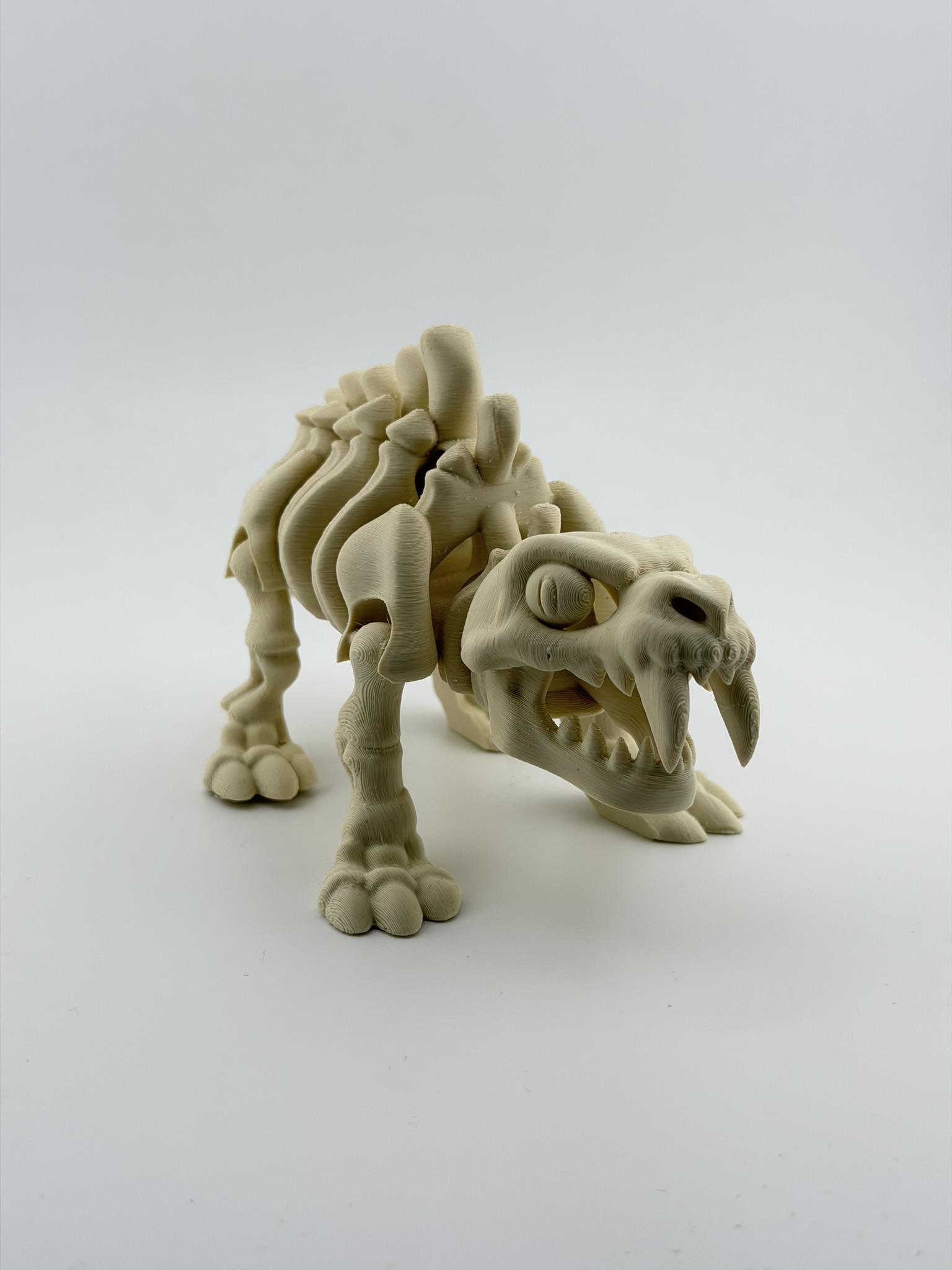 Ruchomy szkielet tygrysa szablozębnego 3D