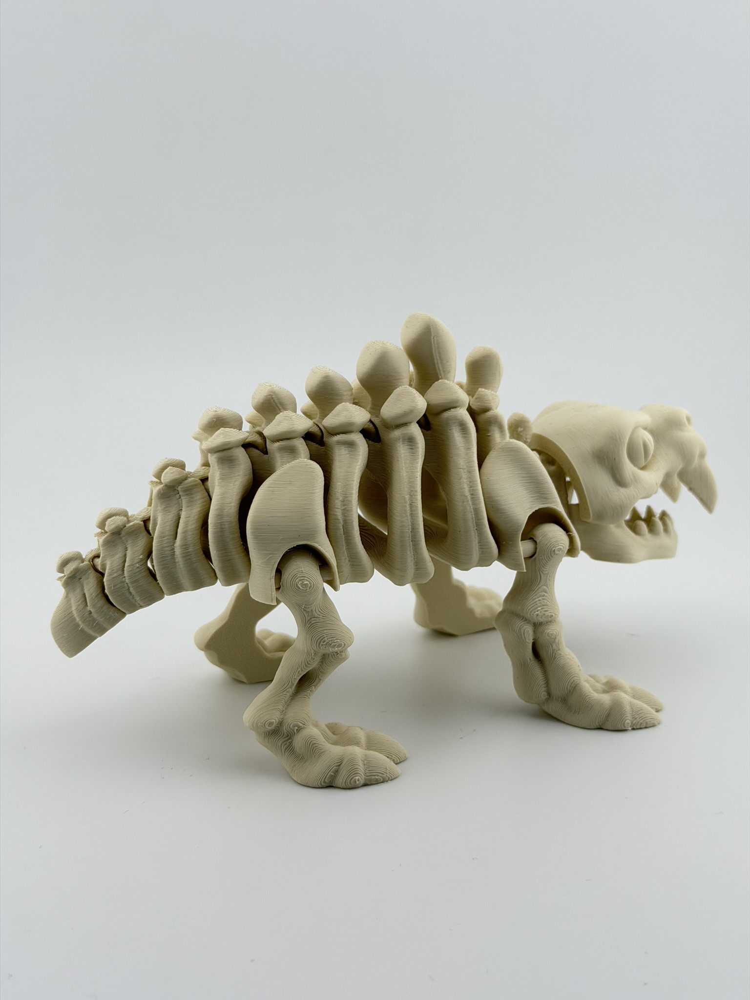 Ruchomy szkielet tygrysa szablozębnego 3D - obrazek 3