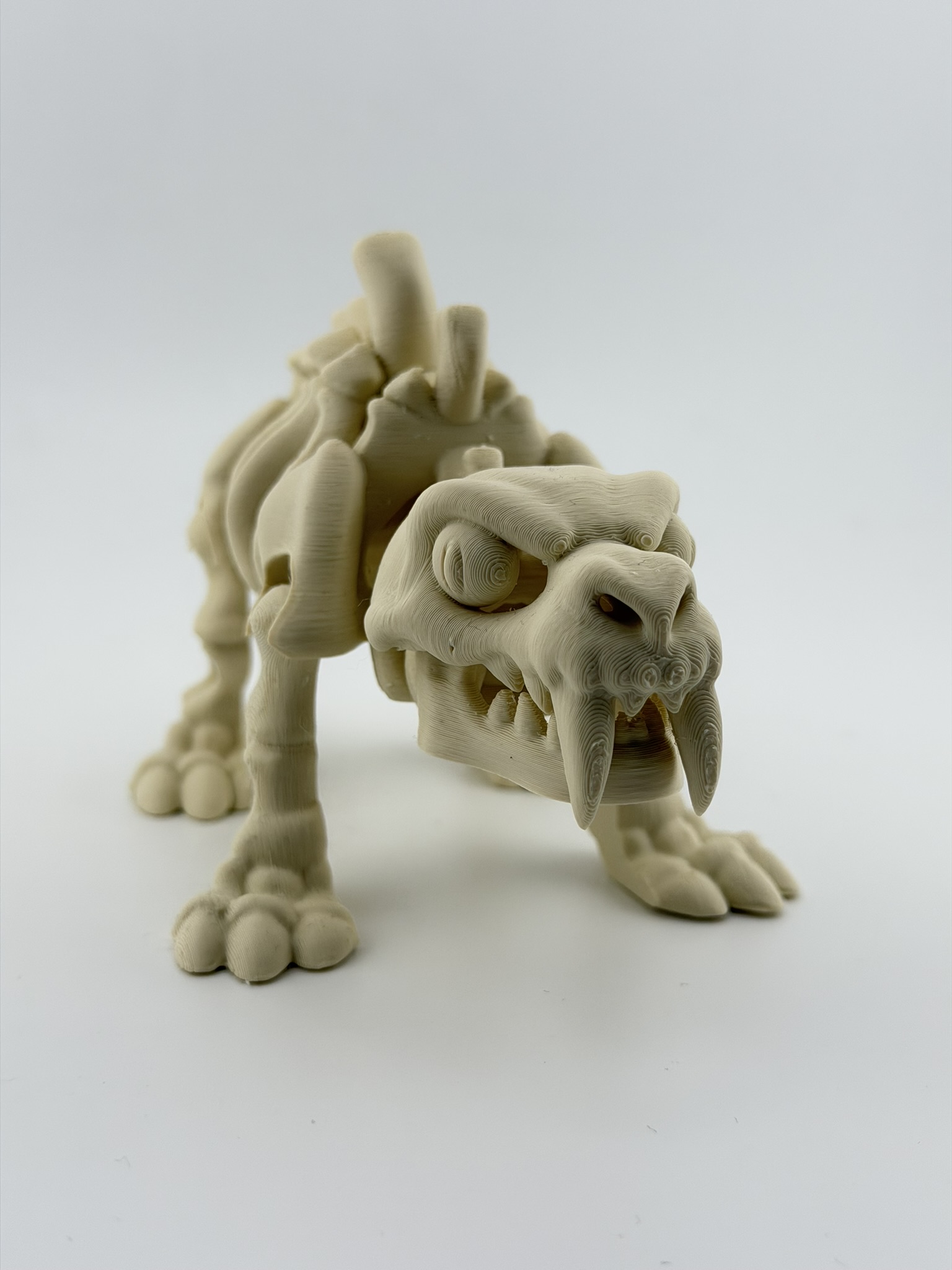 Ruchomy szkielet tygrysa szablozębnego 3D - obrazek 4