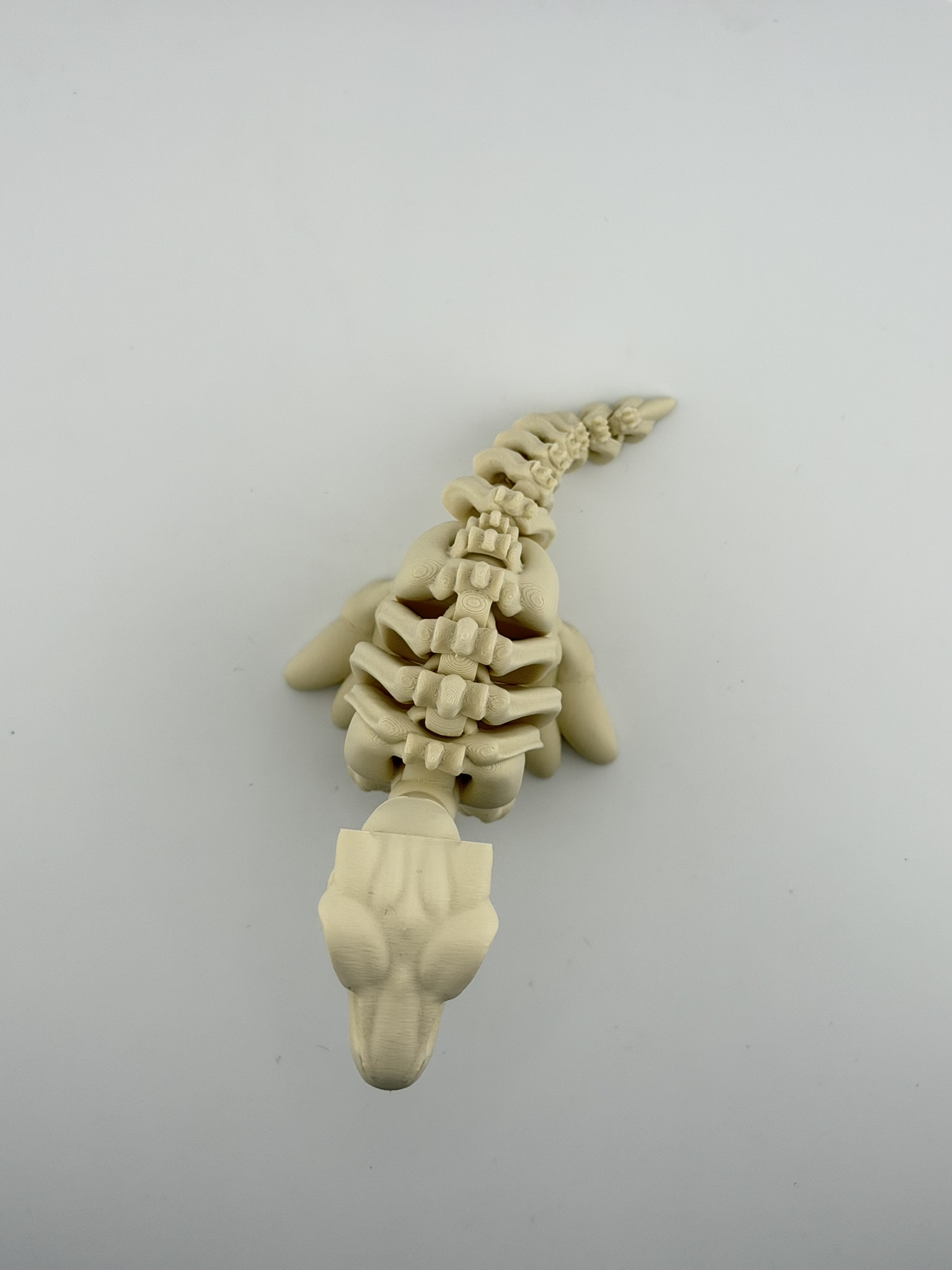 Ruchomy szkielet Velociraptor 3D - obrazek 2