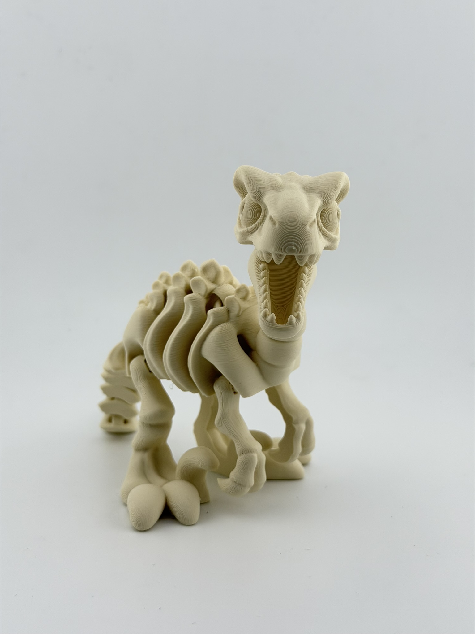 Ruchomy szkielet Velociraptor 3D - obrazek 4