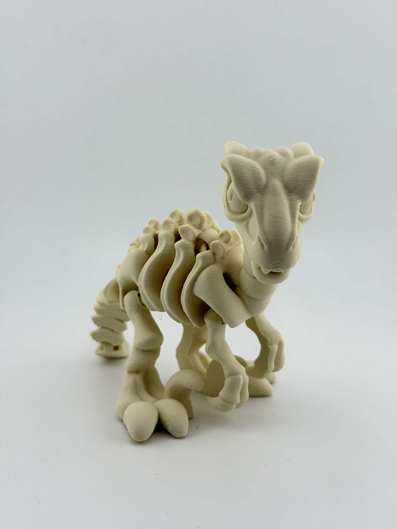 Ruchomy szkielet Velociraptor 3D - obrazek 5