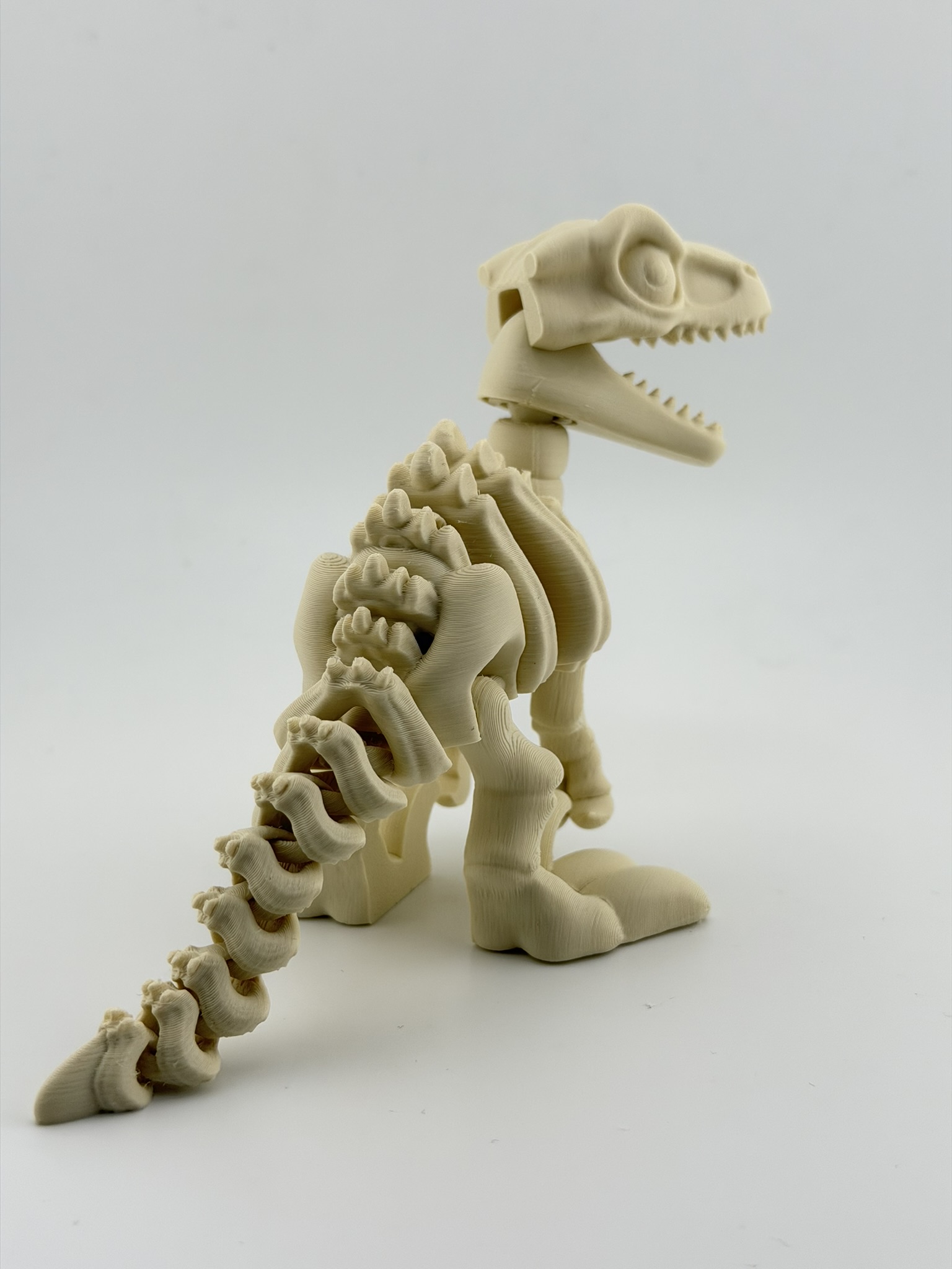 Ruchomy szkielet Velociraptor 3D - obrazek 8