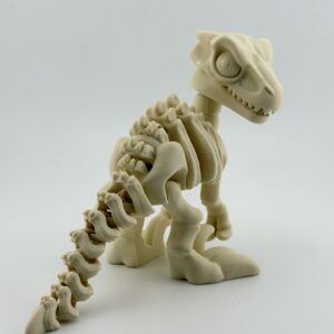 Ruchomy szkielet Velociraptor 3D