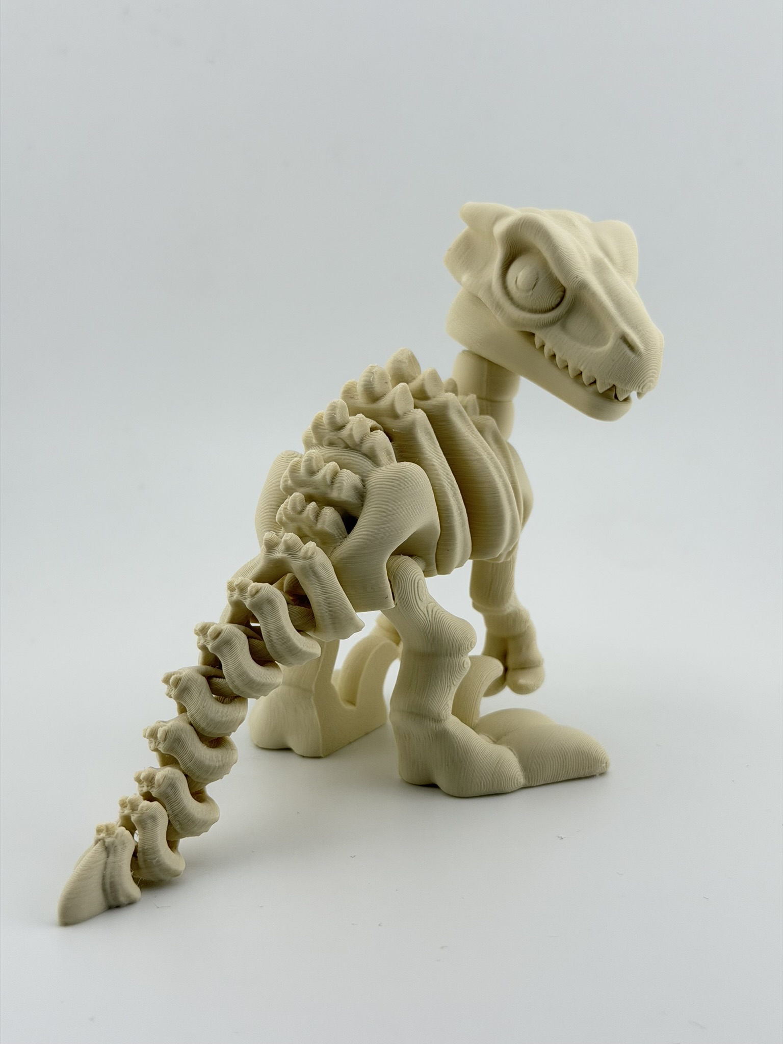 Ruchomy szkielet Velociraptor 3D