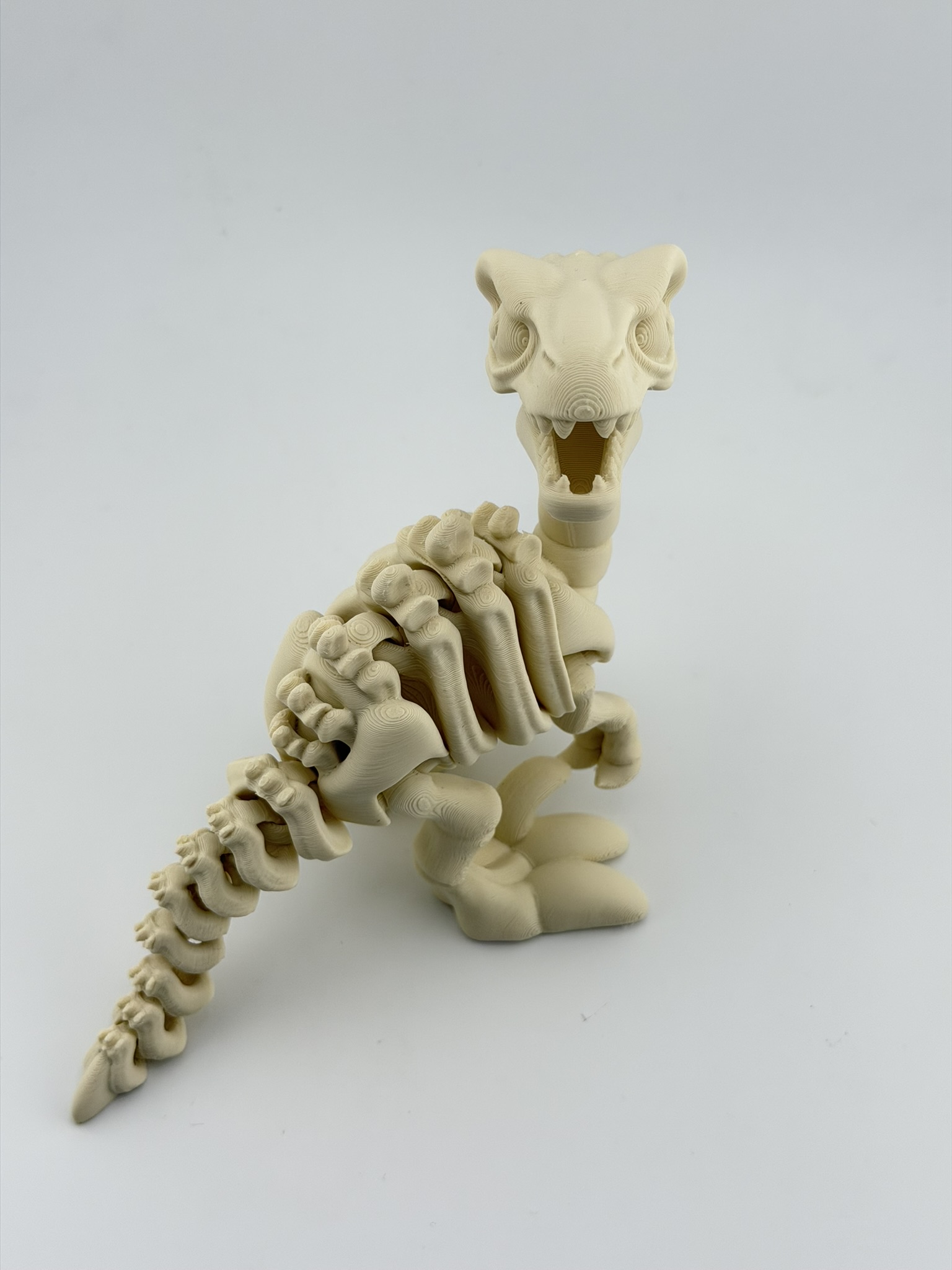 Ruchomy szkielet Velociraptor 3D - obrazek 9